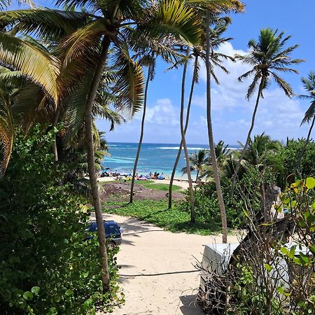 Location Villa Sainte-Anne - Martinique. Extérieur photo