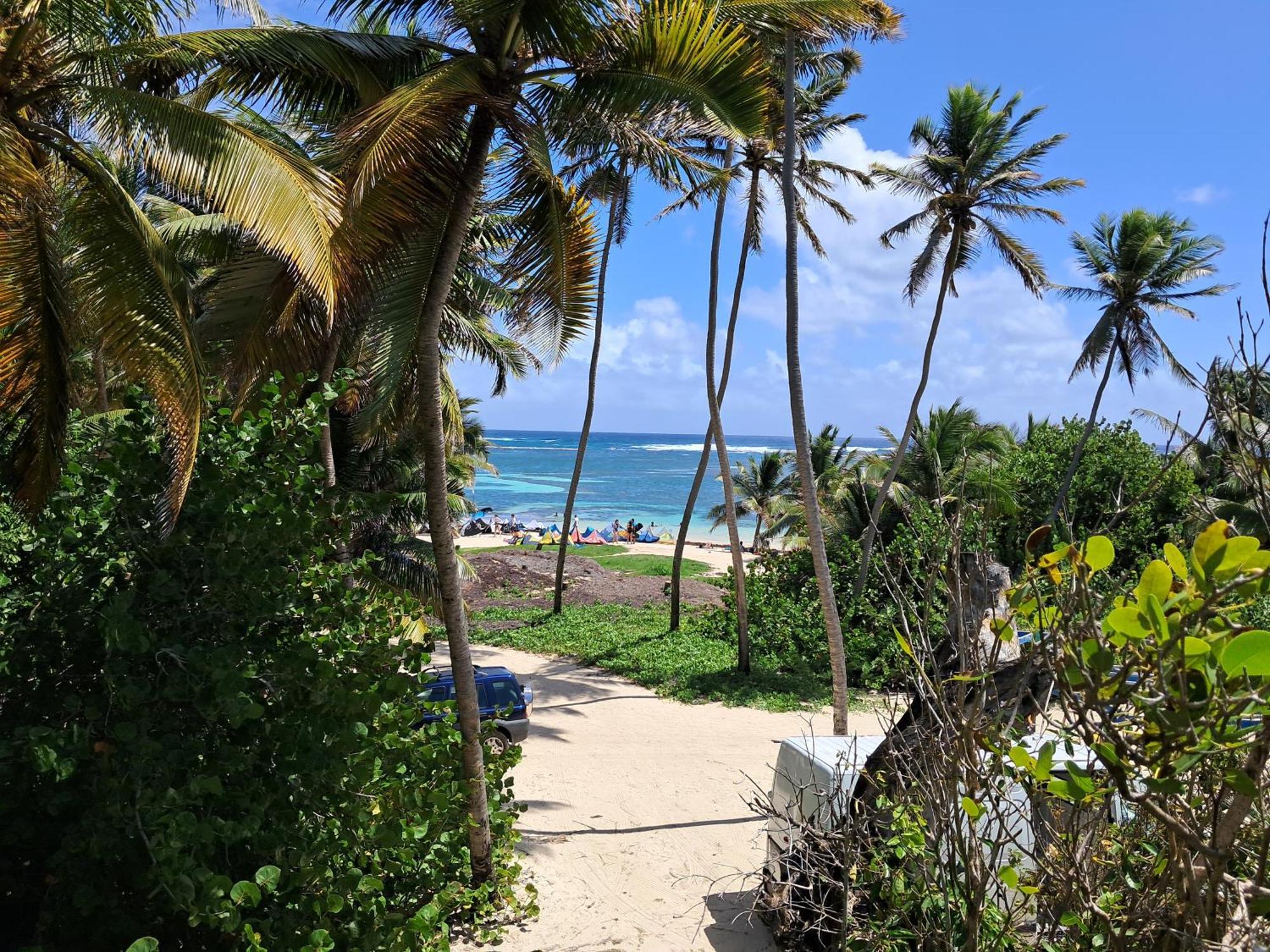 Location Villa Sainte-Anne - Martinique. Extérieur photo